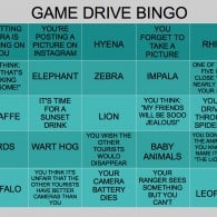 game drive bingo