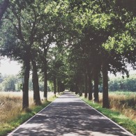 brandenburg allee