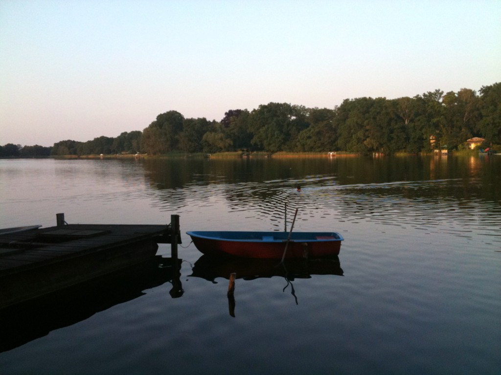 view of a lake with trees and a blue and red boat