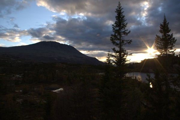 yellow sunset over a mountain scene with pine trees