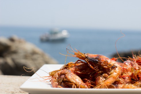 prawns in costa brava