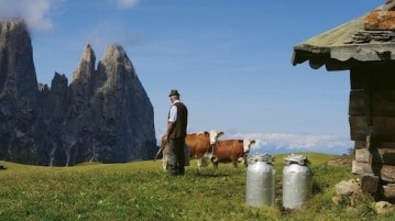 4 Tipps für den perfekten Südtirol Urlaub