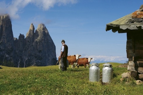4 Tipps für den perfekten Südtirol Urlaub