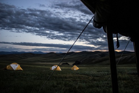 wolf attack in mongolia