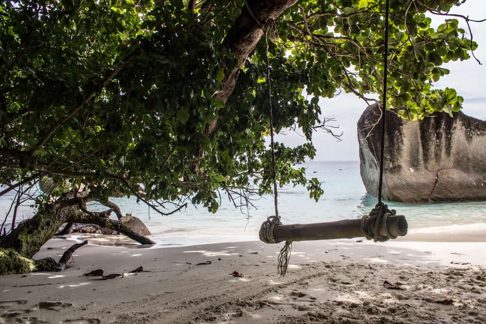 Similan Islands – On turtles, peeing and tourists
