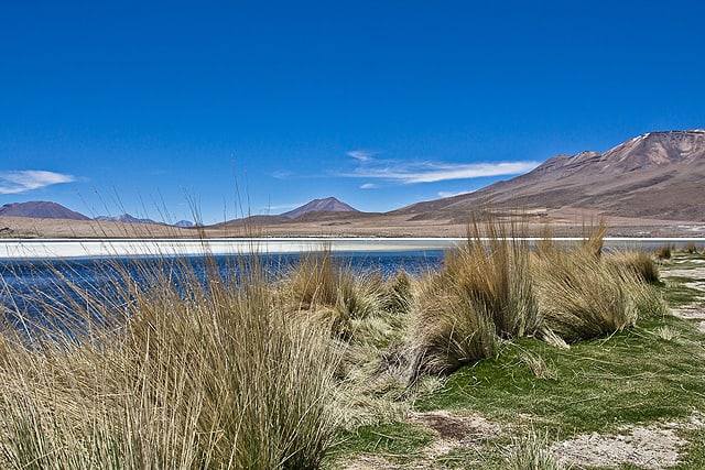 Bolivia Lagoon