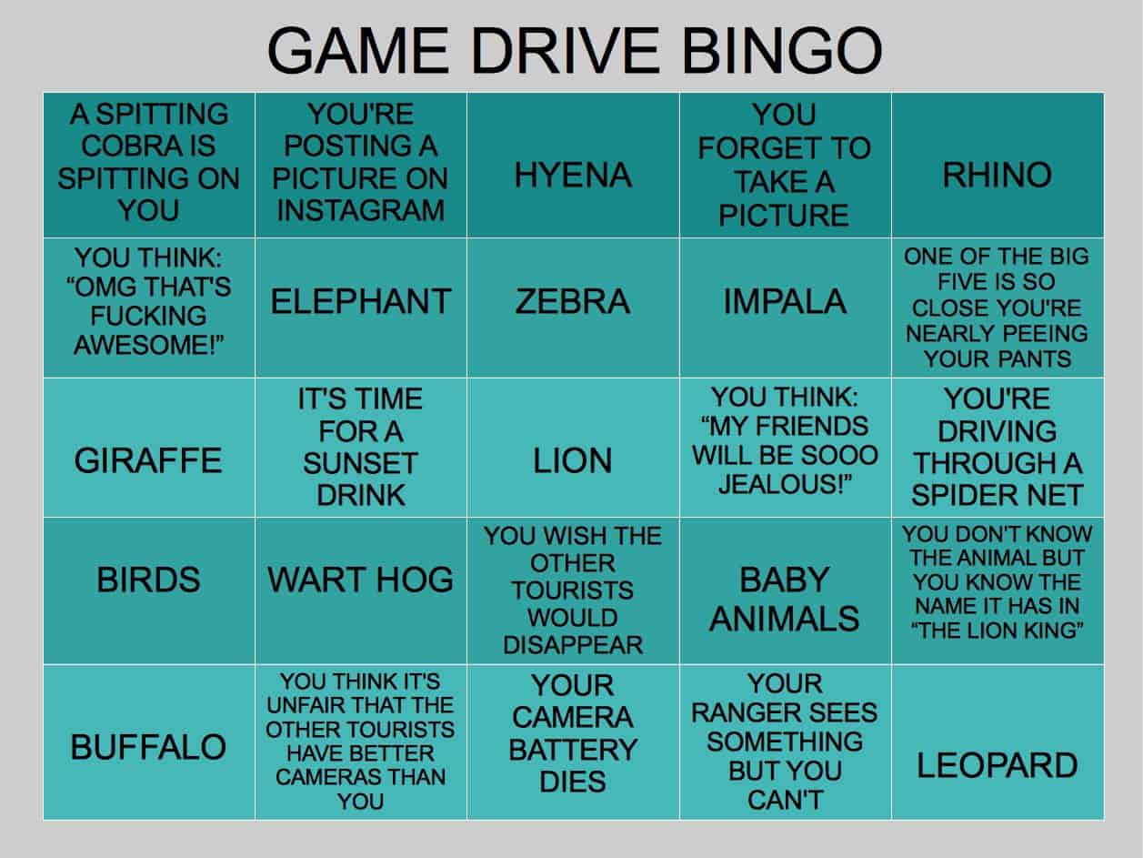 game drive bingo