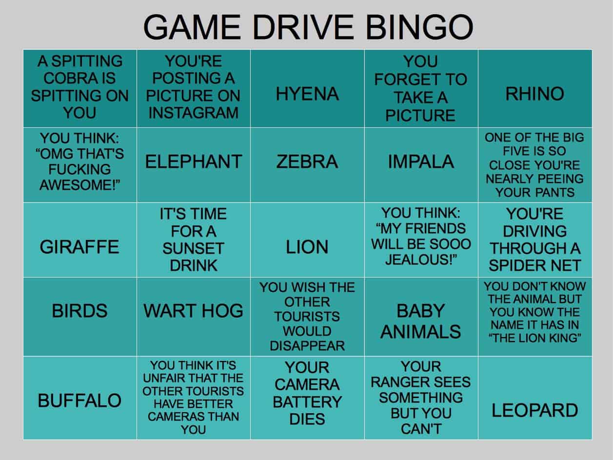 Die perfekten Spiele für Game Drives