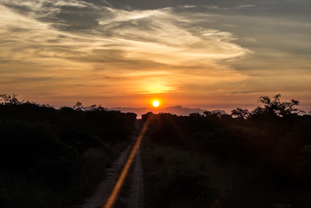 sunset Big five south africa