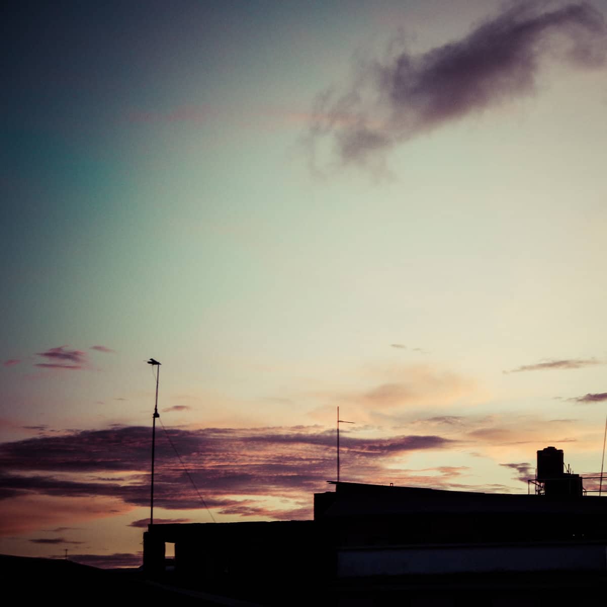 sunset above the roofs of stonetown