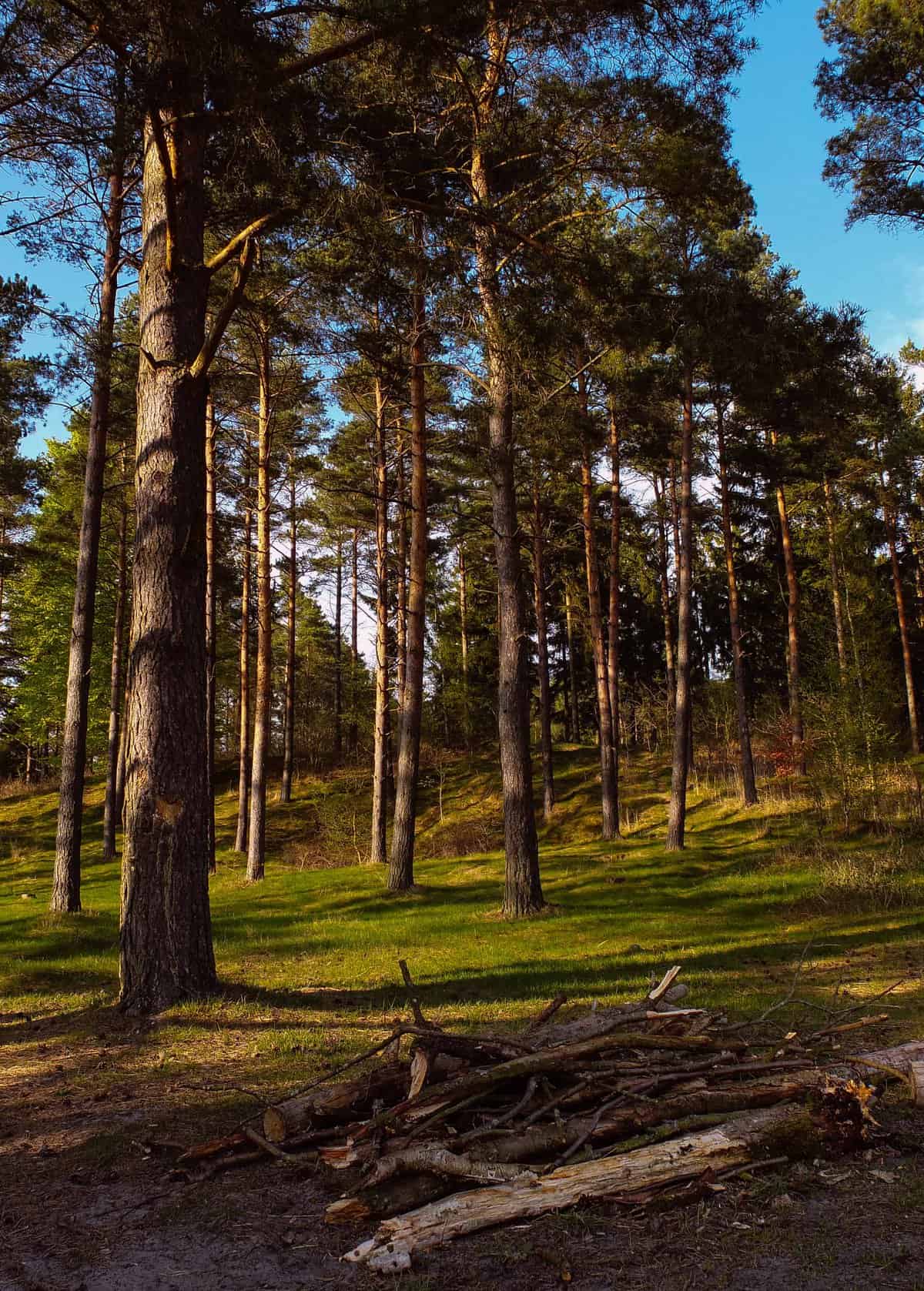 Schweden roadtrip