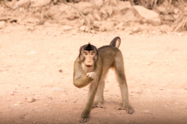 Faces of Borneo-22