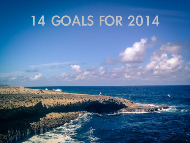 14 goals for 2014