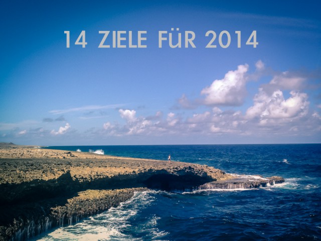 14 ziele für 2014-2