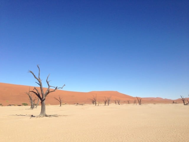 namibia wüste