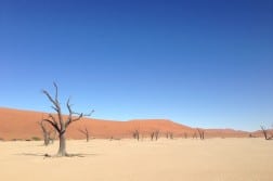namibia wüste