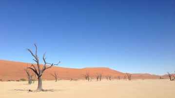namibia wüste