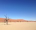 namibia wüste