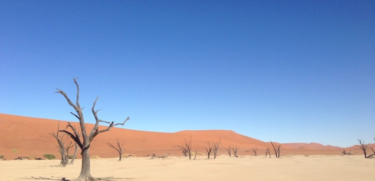 namibia wüste