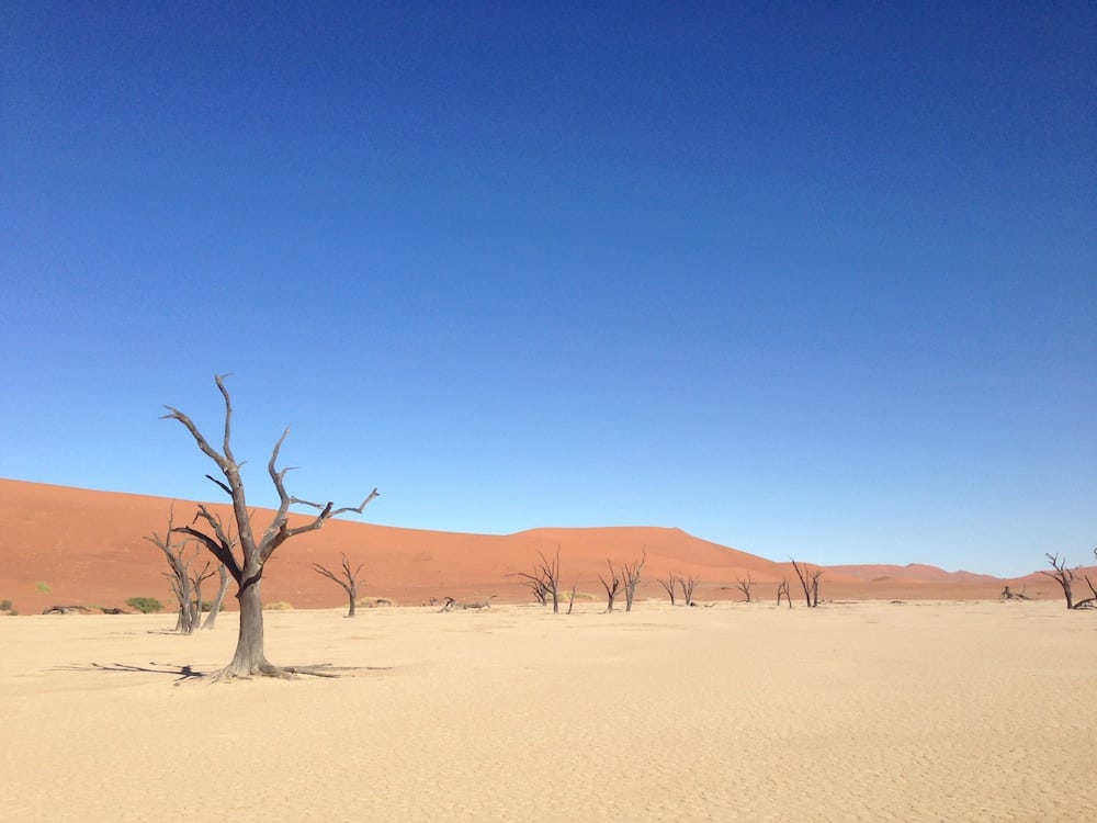 4 Gründe für eine Reise nach Namibia