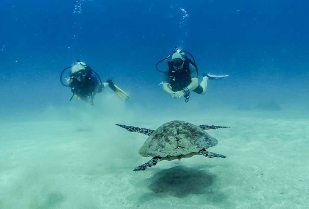 Mit Haien tauchen in Costa Rica Cano Island (Drake Bay)