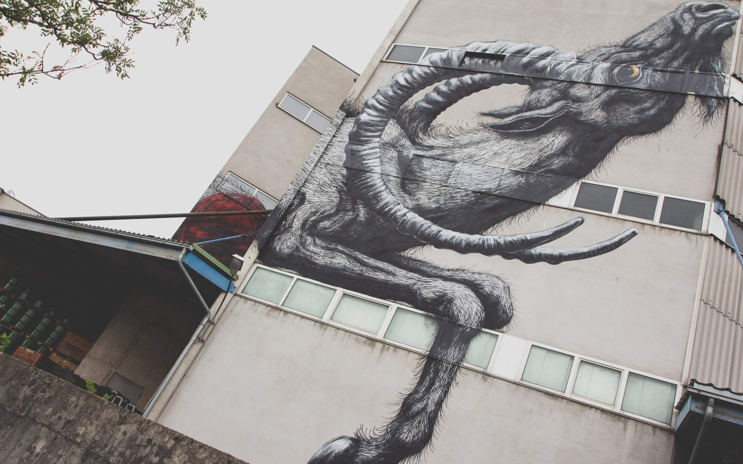 ROA in Linz am Hafen