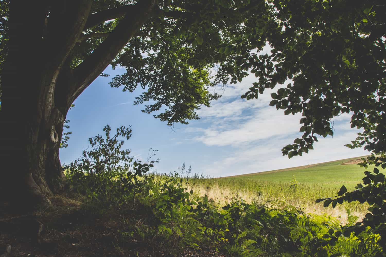 Sächsische Schweiz Malerweg wandern