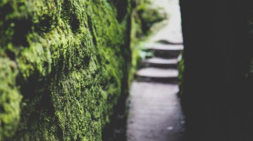 Sächsische Schweiz Schwedenlöcher Malerweg