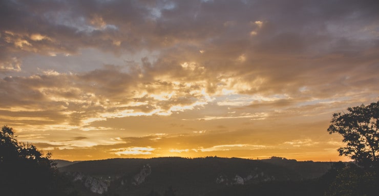 golden sunset with two trees and green hill