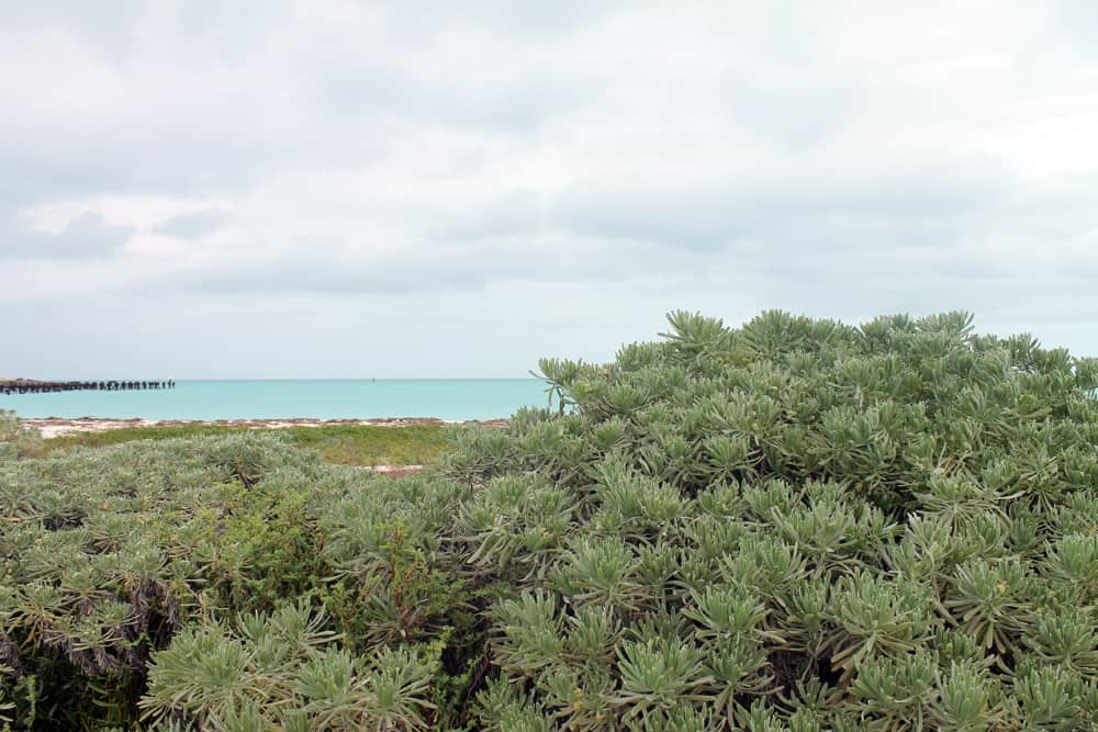 Dry Tortugas Nationalpark