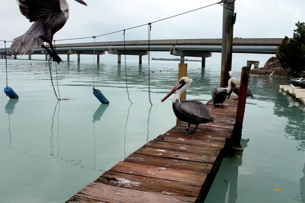 Florida Keys