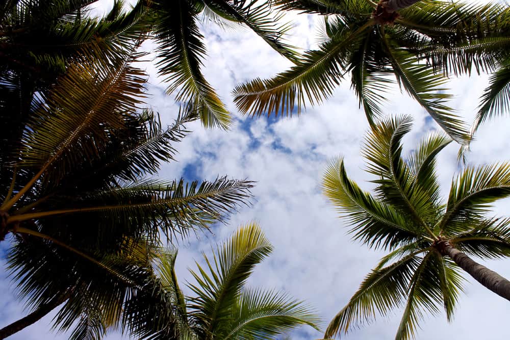 Florida Keys