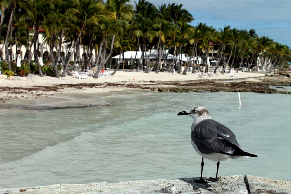 Florida Keys
