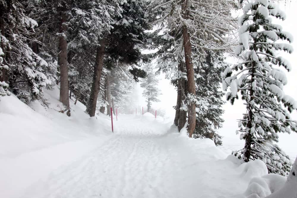St. Moritz