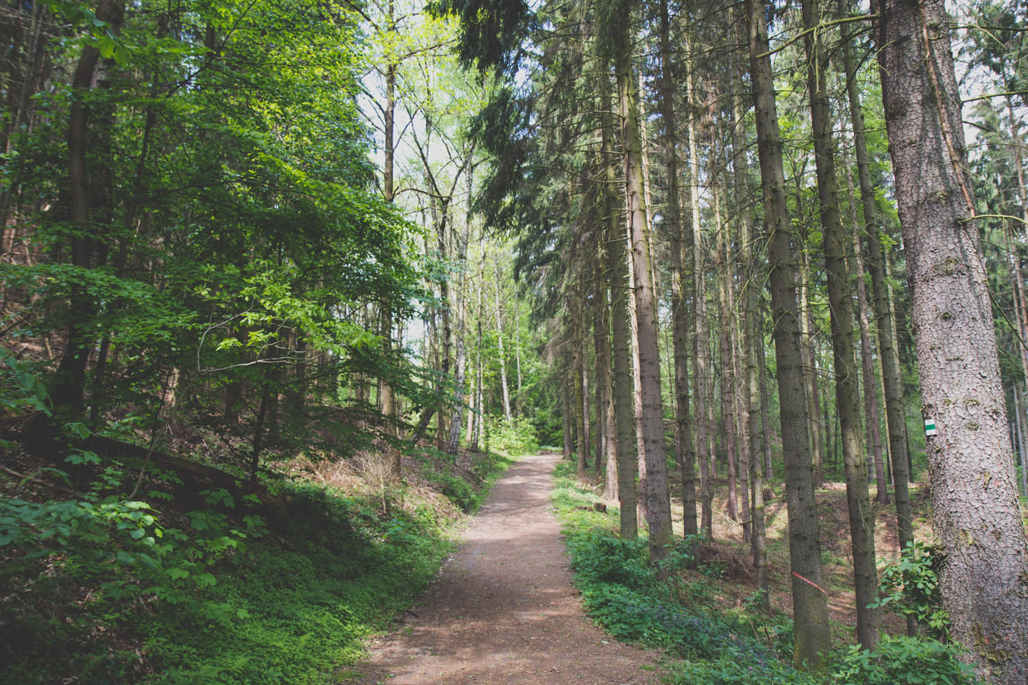 Vogtland tipps was machen im Vogtland-7