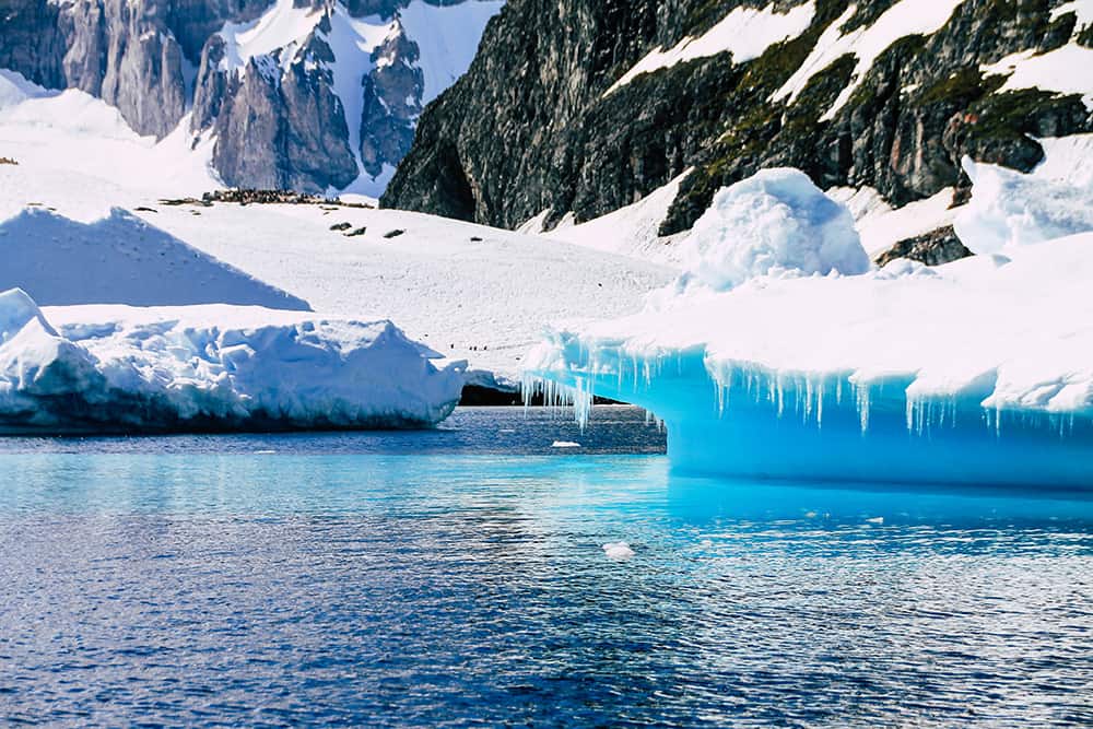 Blaue Eisscholle vor Cuverville Island