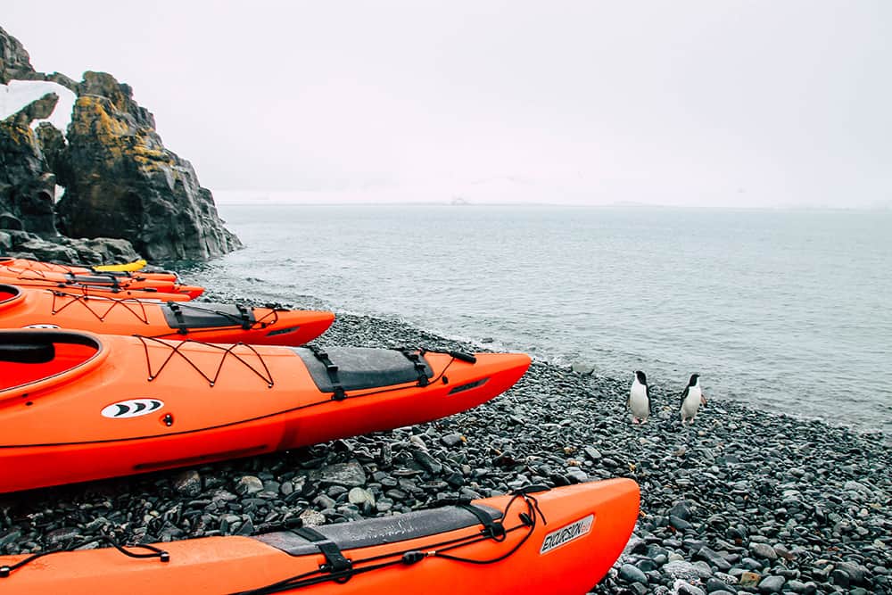 Pinguine vor Kayaks auf Half Moon Island