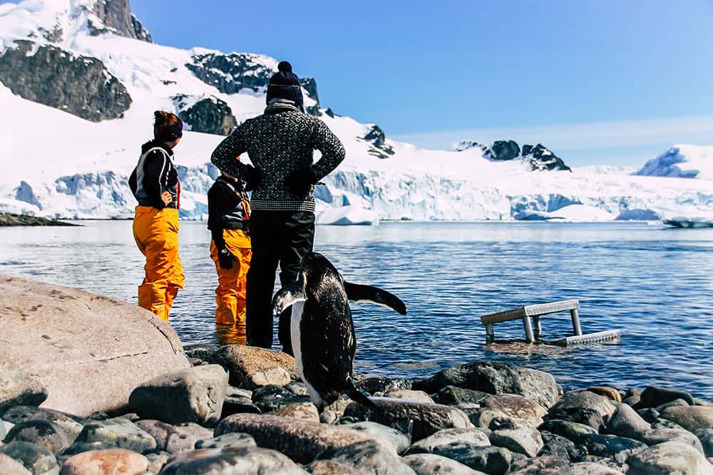 Expeditionsteam bei der Anlandung auf Cuverville Island