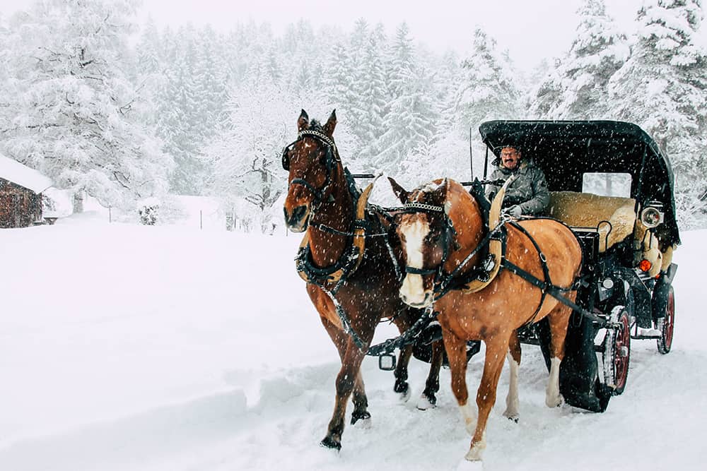 Kutsche im Winter bei Laax