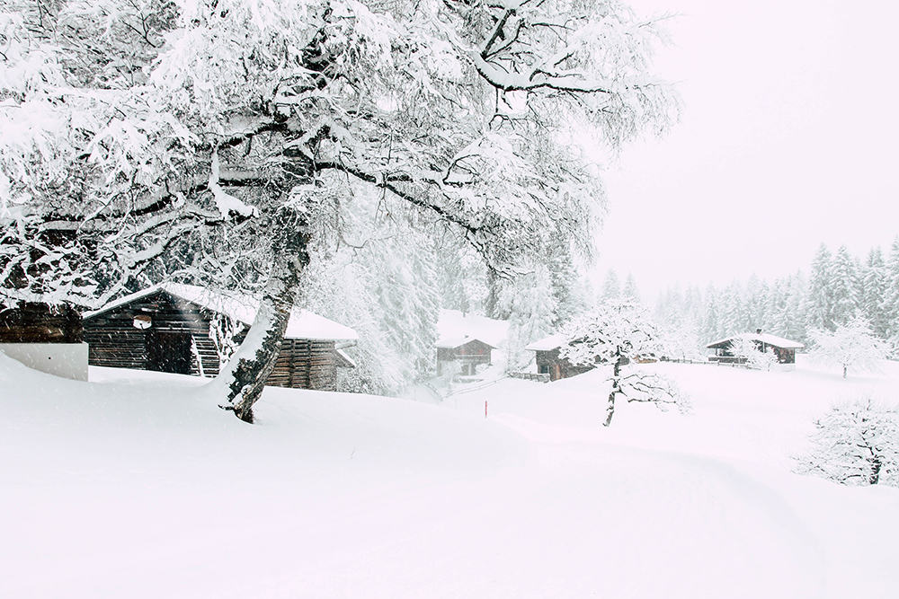 Winterweg im Umland von Laax