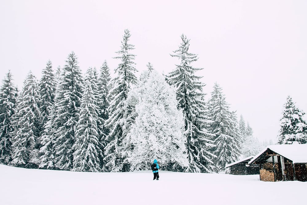 Mensch in verschneiter Winterlandschaft in Laax