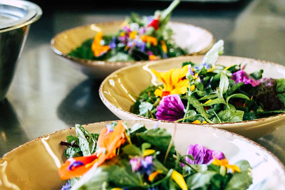 Wildkraeutersalat aus der Dolomitenregion Drei Zinnen