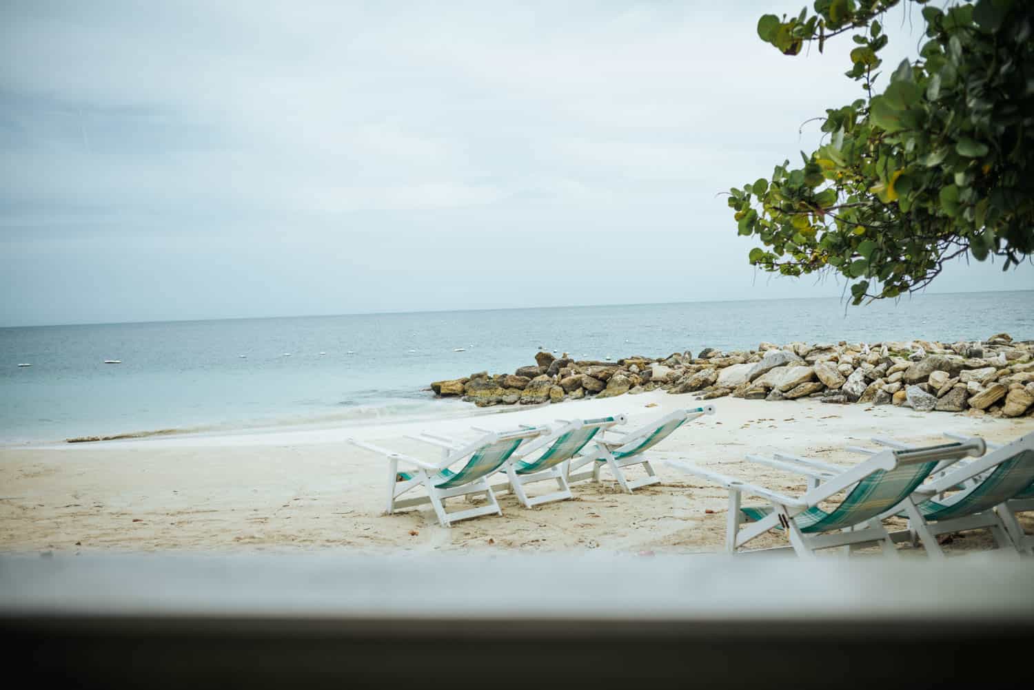 several blue beach chairs on a beach with rocks and tree