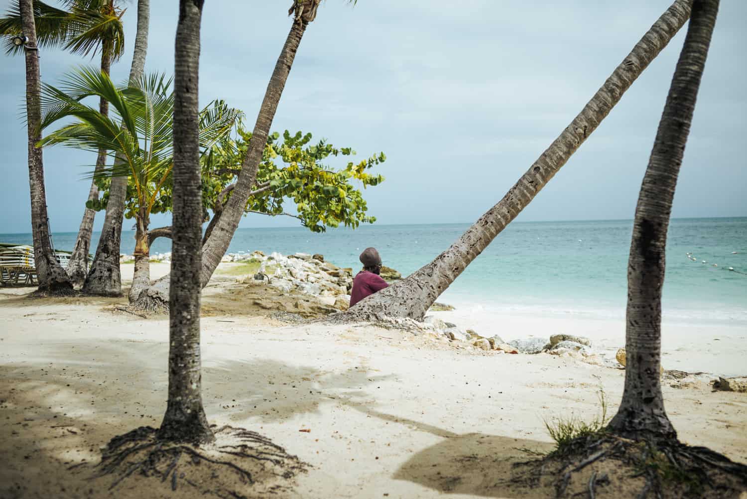 Mehrere Palmen an einem Strand mit blauem Meer in Antigua und Barbuda