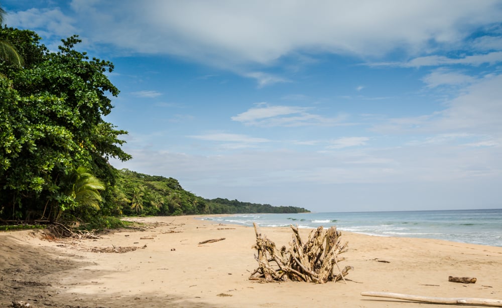 Beach across the jungle