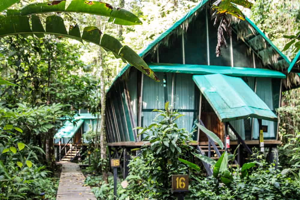 Two green bungalows in the jungle 