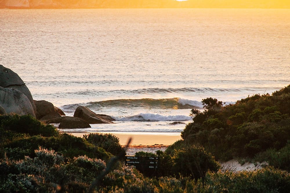 Sonnenuntergang im Wilsons Promontory Nationalpark