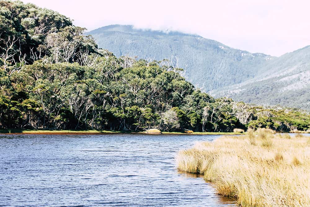 Tidal River im Wilsons Promontory NP