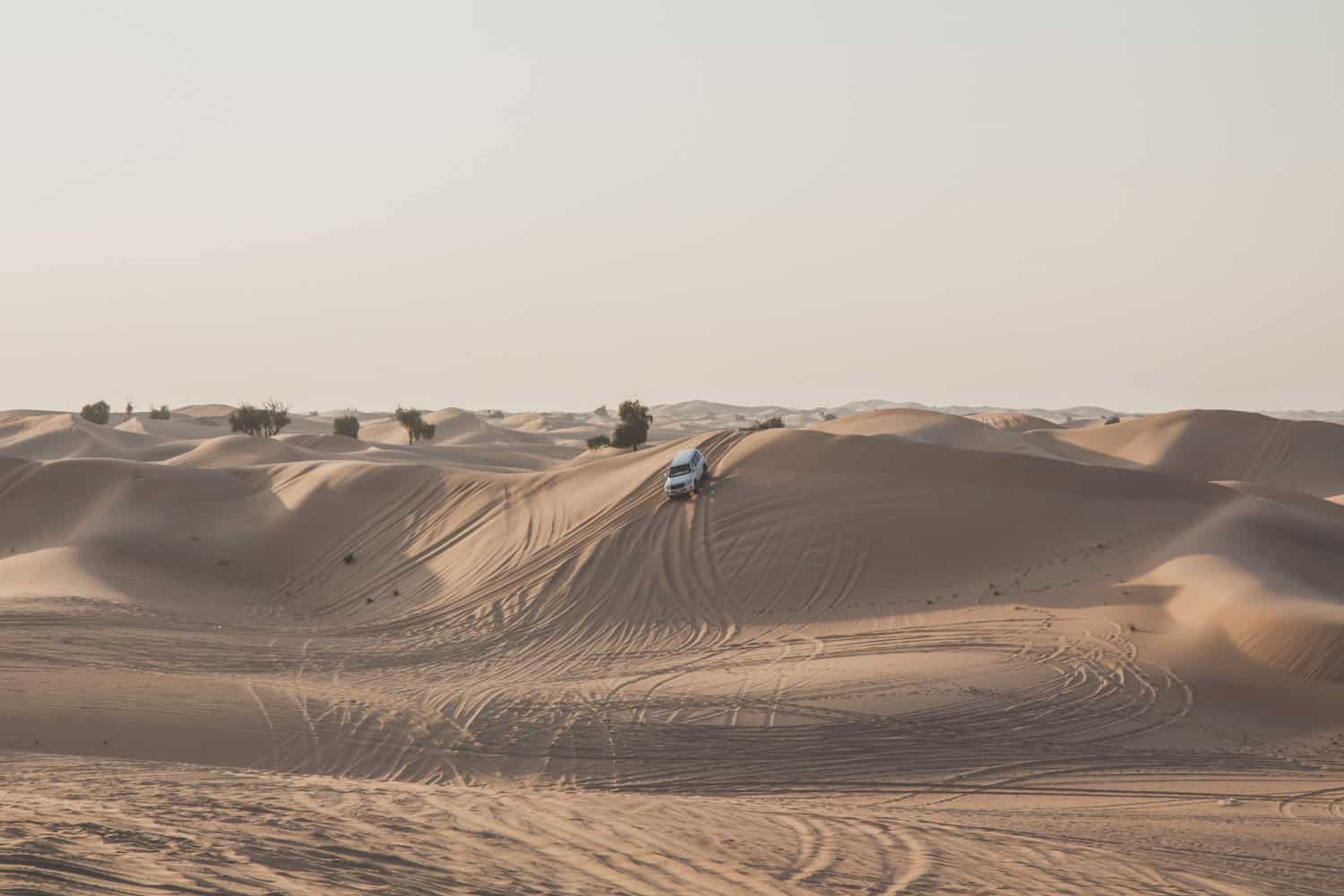 white jeep driving over a dune in abu dhabi