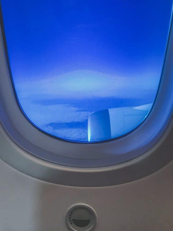dimmable window etihad